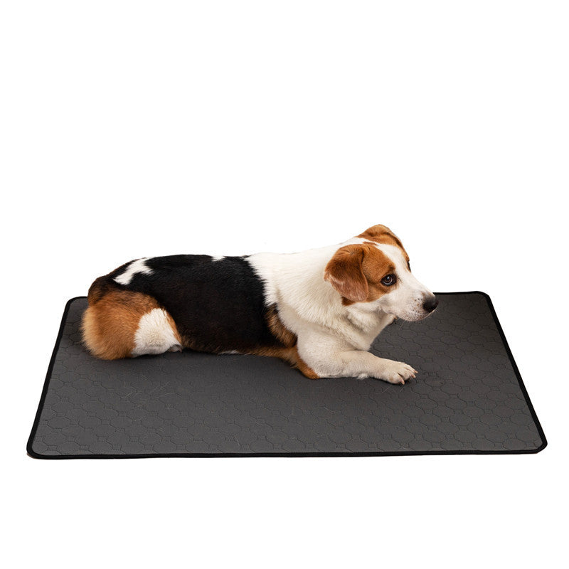 Repeated Water Absorption Training For Pet Changing Pads