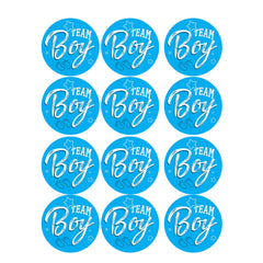 12 Pack Gender Reveal Stickers Team Boy O Team Girl Gender Reveal Adhesive Sticker